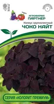 Семена Колеус шлемниковидный "Партнер" Чоко Найт 5шт
