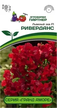 Семена Львиный зев "Партнер" Риверданс F1 10шт