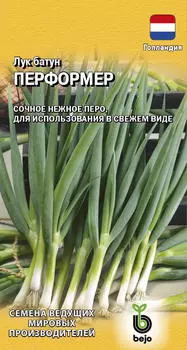 Семена Лук батун "Гавриш" Перформер 0,2г