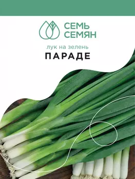 Семена Лук на зелень "Семь Семян" Параде 0,5г