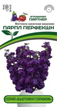 Семена Маттиола срезочная махровая "Партнер" Парпл Перфекшн 10шт