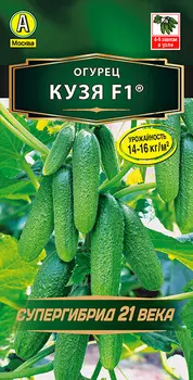 Семена Огурец "Аэлита" Кузя F1 10шт