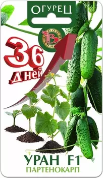 Семена Огурец "Биотехника" Уран F1 8шт