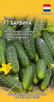 Семена Огурец "Гавриш" Барвина F1 5шт