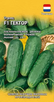 Семена Огурец "Гавриш" Гектор F1 10шт