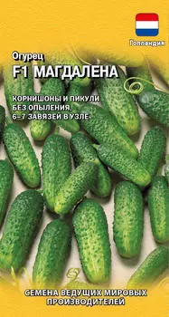 Семена Огурец "Гавриш" Магдалена F1 5шт