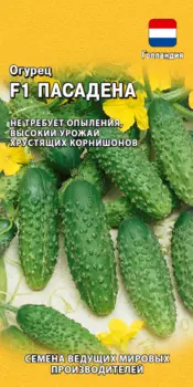 Семена Огурец "Гавриш" Пасадена F1 0,3г