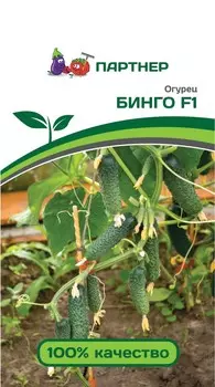 Семена Огурец "Партнер" Бинго F1 5шт
