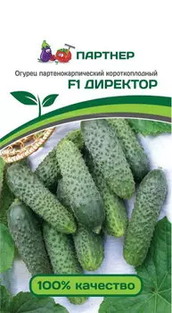 Семена Огурец "Партнер" Директор F1 5шт
