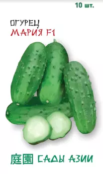 Семена Огурец "Сады Азии" Мария 10шт