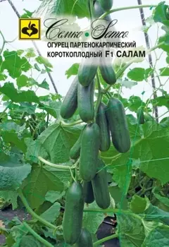 Семена Огурец "Семко" Салам F1 10шт