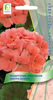 Семена Пеларгония зональная "Поиск" Люстра Салмон 5шт