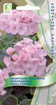 Семена Пеларгония зональная "Поиск" Шоколадница Нежно-розовая 5шт
