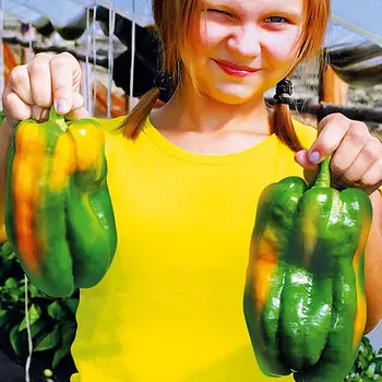 Семена Перец сладкий "Сады России" Червонец F1 сладкий 10шт