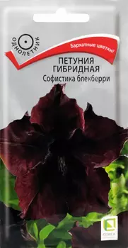 Семена Петуния гибридная "Поиск" Софистика блекберри 5шт