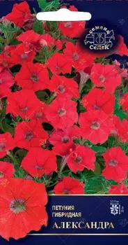 Семена Петуния гибридная "Седек" Александра F1 5шт