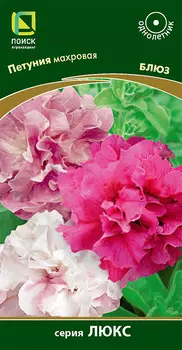 Семена Петуния махровая "Поиск" Блюз 10шт