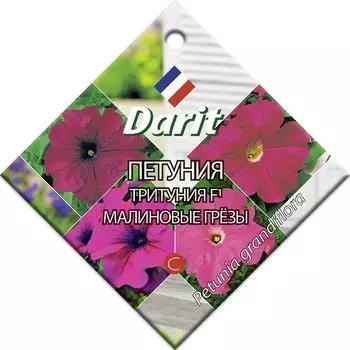 Семена Петуния (тритуния) "Darit" Малиновые грезы F1 10шт