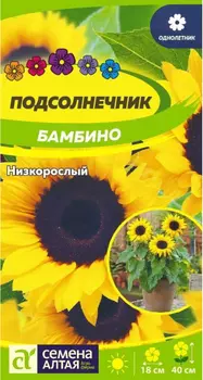 Семена Подсолнечник "Семена Алтая" Бамбино низкорослый 0,5г