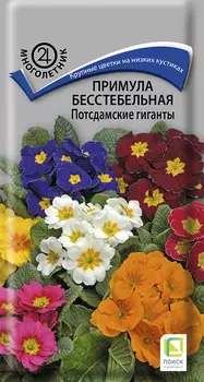 Семена Примула бесстебельная "Поиск" Потсдамские гиганты 0,05г