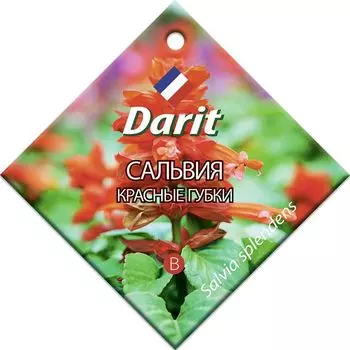 Семена Сальвия "Darit" Красные губки 0,1г