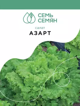 Семена Салат "Семь Семян" Азарт 1г