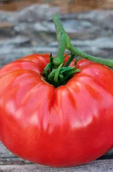 Семена Томат "Мязина Л.А." Авентюняй 5шт