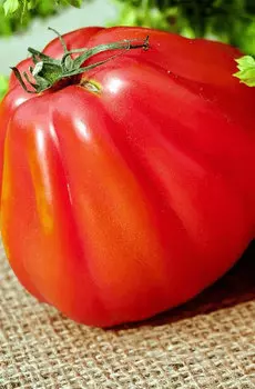 Семена Томат "Мязина Л.А." Красная груша 5шт