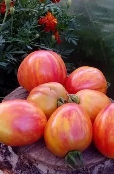 Семена Томат "Мязина Л.А." Кровоточащее сердце 5шт