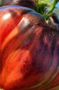 Семена Томат "Мязина Л.А." Подавленное сердце 5шт