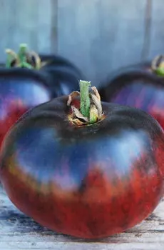 Семена Томат "Мязина Л.А." Синий 5шт