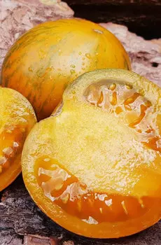 Семена Томат "Мязина Л.А." Сияние 10шт