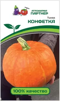 Семена Тыква "Партнер" Конфетка 5шт