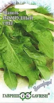 Щавель "Гавриш" Изумрудный снег 0,5г
