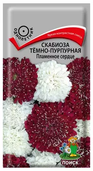 Скабиоза "Поиск" Пламенное сердце 10шт