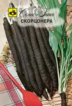 Скорцонера "Семко" Черный корень 1г