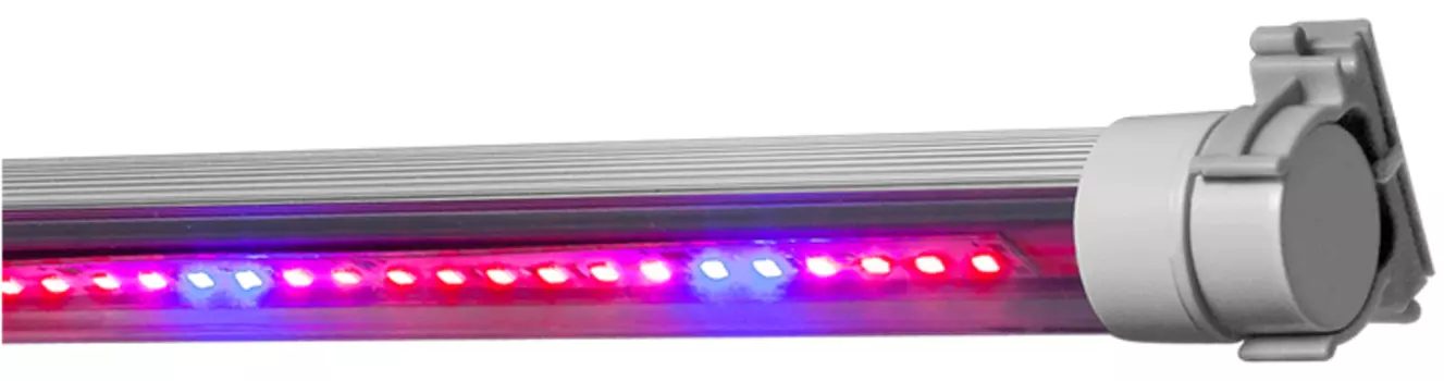 Светодиодный фитосветильник "Fitoled" Биколор 20Вт 02-20-003