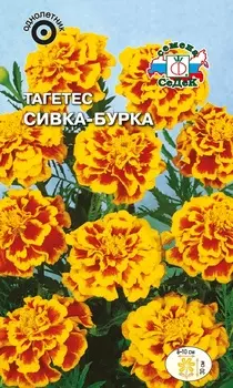 Тагетес "Седек" Сивка-Бурка 0,2г