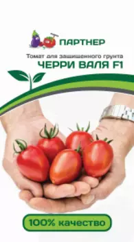 Томат черри "Партнер" Валя F1 5шт