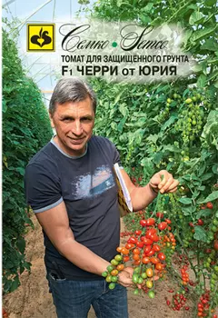Томат черри "Семко" Черри от Юрия F1 5шт