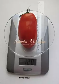 Томат "Мязина Л.А." Гулливер 0,03г