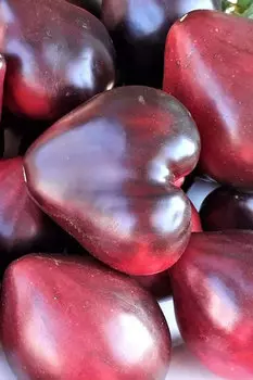 Томат "Мязина Л.А." Сержант Пеппер 5шт