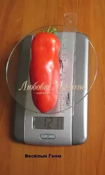 Томат "Мязина Л.А." Веселый гном 0,03г