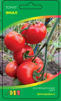 Томат "Мязина Л.А." Ямал 5шт