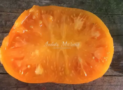 Томат "Мязина Л.А." Жемчужина Джанет 5шт