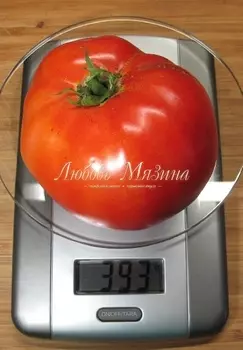 Томат "Мязина Л.А." Жонглер F1 0,03г