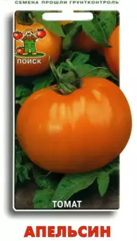 Томат "Поиск" Апельсин 0,1г