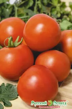 Томат "Русский огород" Петергоф 0,1г