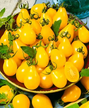 Томат "Сады России" Грушенька F1 3шт