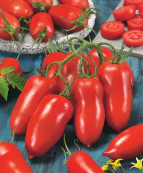 Томат "Сады России" Позано F1 3шт